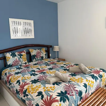Mogan Pearl - Pool - Double Terrace - Ocean View - - Wifi - Calm And Complex - Air Conditioning 皮拉亚德尔库拉